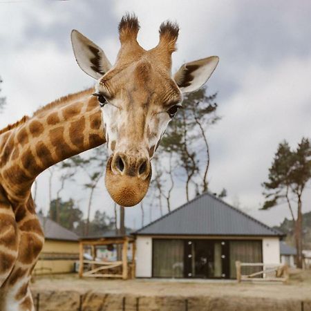Safari Resort Beekse Bergen Hilvarenbeek Esterno foto