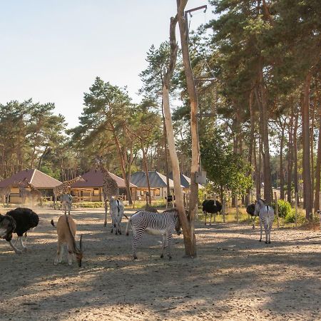 Safari Resort Beekse Bergen Hilvarenbeek Esterno foto