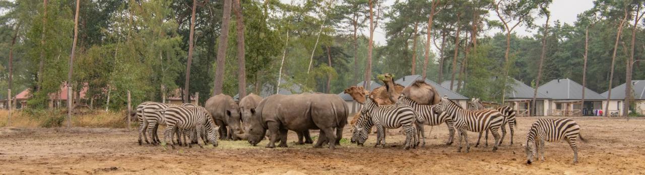 Safari Resort Beekse Bergen Hilvarenbeek Esterno foto
