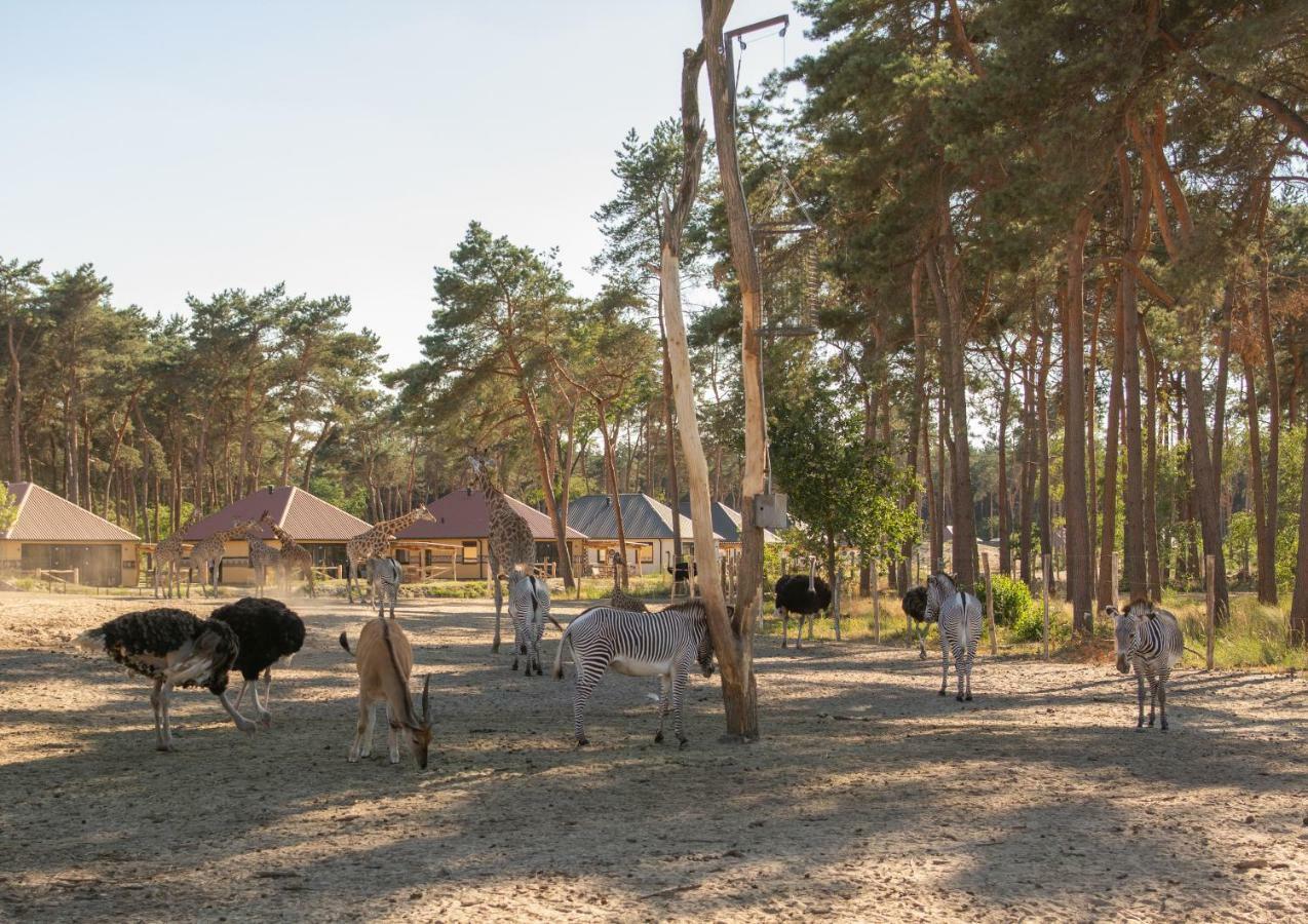 Safari Resort Beekse Bergen Hilvarenbeek Esterno foto