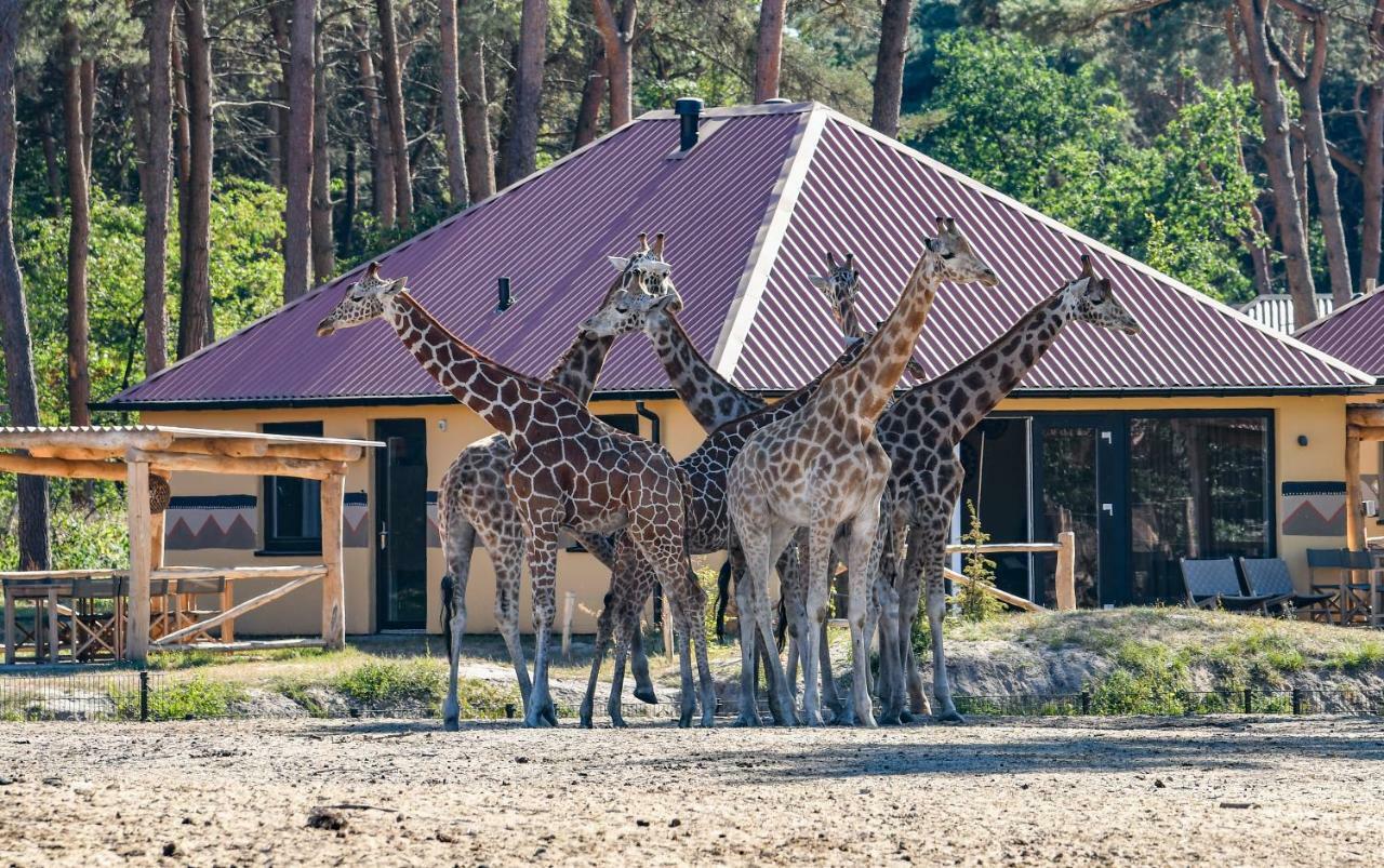 Safari Resort Beekse Bergen Hilvarenbeek Esterno foto