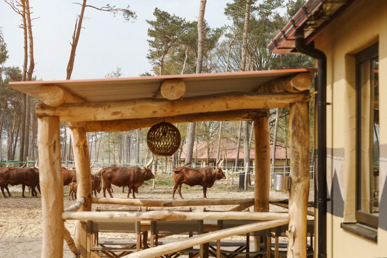 Safari Resort Beekse Bergen Hilvarenbeek Esterno foto