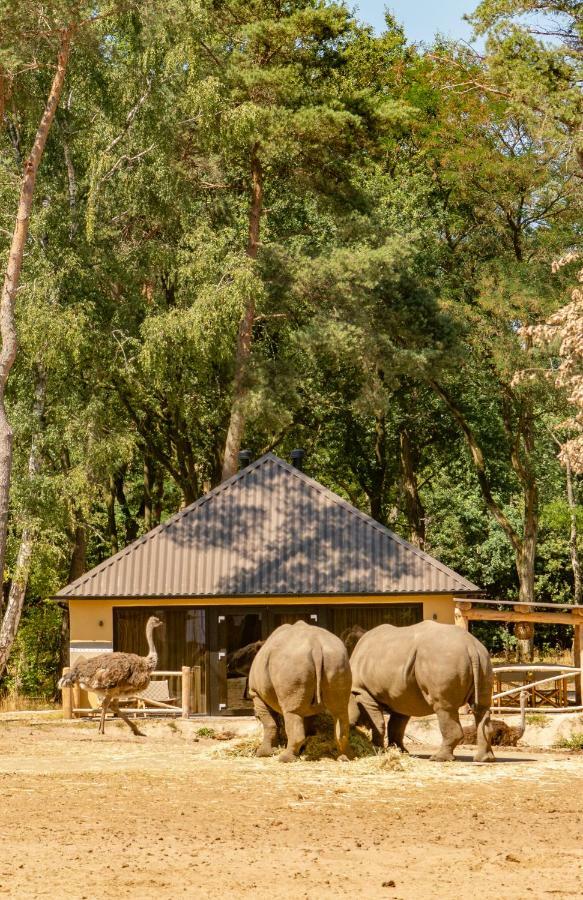 Safari Resort Beekse Bergen Hilvarenbeek Esterno foto