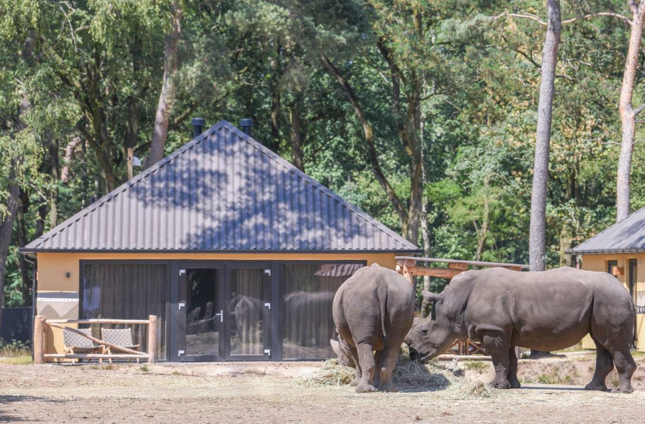 Safari Resort Beekse Bergen Hilvarenbeek Esterno foto