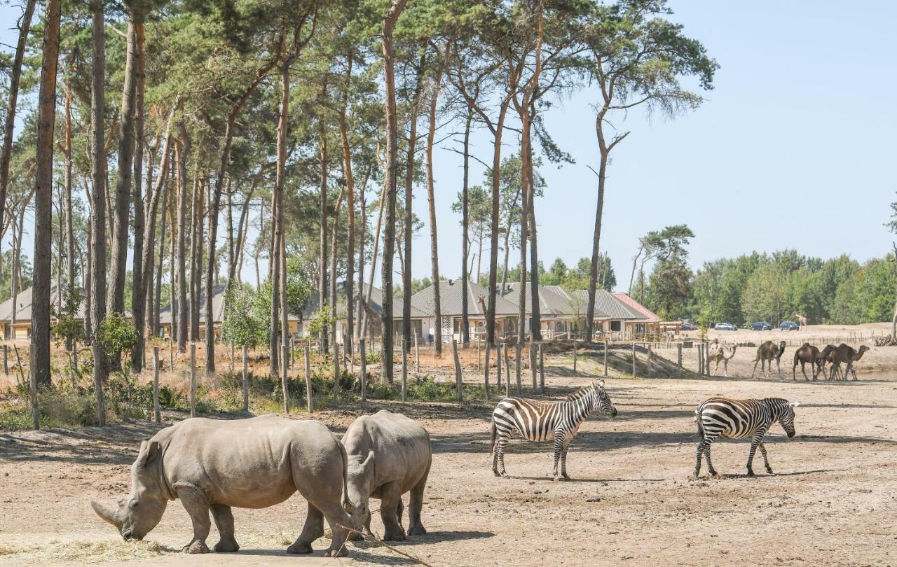 Safari Resort Beekse Bergen Hilvarenbeek Esterno foto